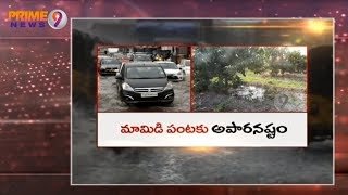 Unseasonal Rains damaged Mango Crop Heavily in Telangana  Prime9 News [upl. by Winshell]