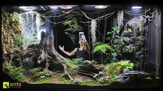 I Released an Apex Predator into My Giant Rainforest Vivarium [upl. by Lleznod]