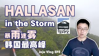 2023韩国济州岛自由行  汉拿山登山  公共交通及路线攻略  灵室  御里牧 [upl. by Allecnirp]