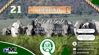 LEILÃO AO VIVO DO SINDICATO RURAL DE QUIRINÓPOLISGO [upl. by Rachael639]