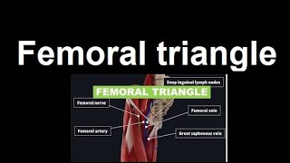 Femoral Triangle  A Vital Anatomical  2024 [upl. by Adlanor]