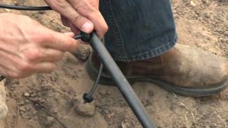 Drip Irrigation Tip  Emitter Placement [upl. by Barron]