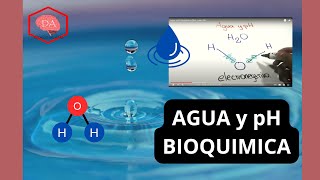 Agua y pH Bioquímica fácil y sencilla [upl. by Nosrej]