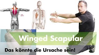 Scapular Alata  Folgende Übung kann dir helfen [upl. by Joselow]