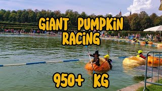 Worlds Largest Pumpkin Festival  Giant Pumpkin racing  Ludwigsburg  Kürbisausstellung [upl. by Adnohsar]