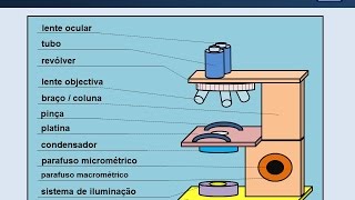 Partes do microscópio [upl. by Haye]