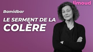 Bamidbar  le serment de la colère par SylvieAnne Goldberg [upl. by Anih423]