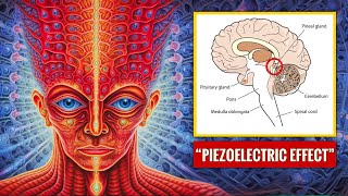 quotPineal Gland Activationquot How to activate the pineal gland amp tap into superhuman potential POWERFUL [upl. by Florance514]