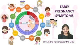 Early Pregnancy Symptoms The most common symptoms how to deal with it amp when to consult the doctor [upl. by Raines383]