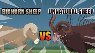 Unnatural Sheep vs Bighorn Sheep  Unnatural Habitat Animals Animation [upl. by Omiseno]