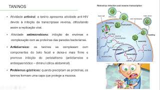 COMPOSTOS FENÓLICOS TANINOS [upl. by Ahsym]