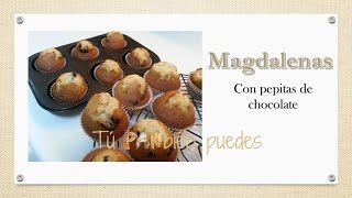 Magdalenas con pepitas de chocolate [upl. by Erminie]