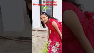 my beautiful garden beautiful plants 😍akshita loves plants [upl. by Enineg]