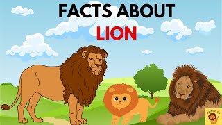 Learn Facts About Lion  Lion animal  Kids School  Animal Facts  lion song [upl. by Anayra]