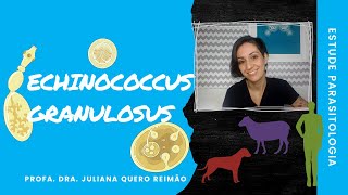 Aula sobre Echinococcus granulosus Hidatidose e Equinococose [upl. by Nylcaj]