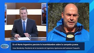 Cesar Bendersky  Presidente de la Asociación de Ingenieros Agrónomos del Sudoeste Chaqueño [upl. by Dionysus]