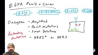 EGFR family and cancer [upl. by Bachman]