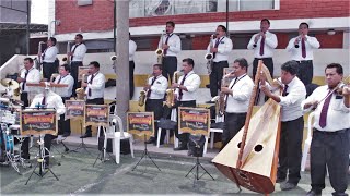 ORQUESTA ANTOLOGIA DEL FOLKLOR  CURVAS PELIGROSAS RENACIENDO COMO EL AVE FENIX [upl. by Atoiganap]