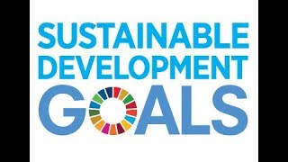 The Sustainable Development Goals 17 Goals to Transform Our World [upl. by Messab]