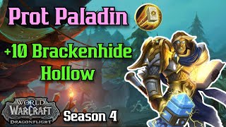 Protection Paladin 10 Brackenhide Hollow [upl. by Blackman]