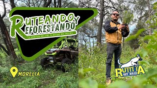 RUTEANDO Y REFORESTANDO Nos fuimos de ruta en RZR al cerro a plantar pinos [upl. by Zeke42]