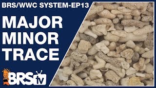 Ep13 Major minor and trace elements for your reef tank  The BRSWWC System [upl. by Steinman]