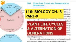 Haplontic Life Cycle  NEET Biology  NEET UG in 10 [upl. by Steel715]