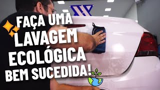 LAVAGEM ECOLÓGICA E PROTEÇÃO PROFISSIONAL DICAdoTÉCNICO [upl. by Noonberg]