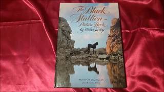 The Black Stallion Picture Book [upl. by Aicella]