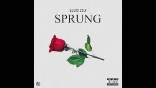 Lucas Coly  Sprung New Music 2017 [upl. by Nivloc]