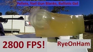 Pellets Nail Gun Blanks Ballistic Gel amp 2800 FPS [upl. by Jazmin946]