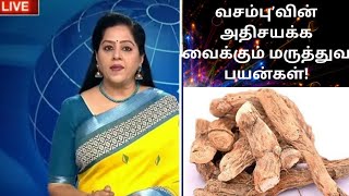 வசம்பு’வின் அதிசயக்க வைக்கும் மருத்துவ பயன்கள்Vasambu benefits in tamilSweet Flag  Acorus Calamus [upl. by Yaluz861]