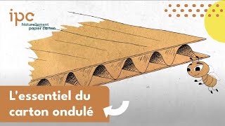 CARTON ONDULÉ 📦 Spécificités et Fabrication [upl. by Rebmik]