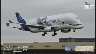 Airbus Beluga XL lands at Heathrow Airport for the very first time [upl. by Nollid]