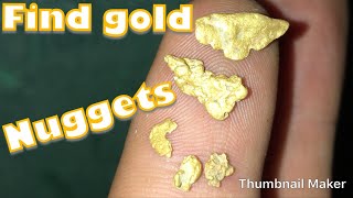 Metal Detecting  Finding gold nuggets [upl. by Riella]