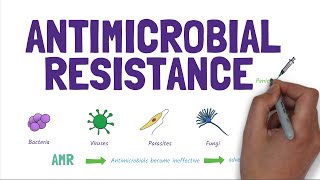 Antimicrobial Resistance AMR Stopping the rise of superbugs [upl. by Zeret]