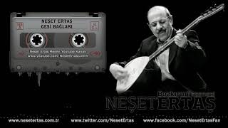 Neşet Ertaş  Gesi Bağları [upl. by Demp]