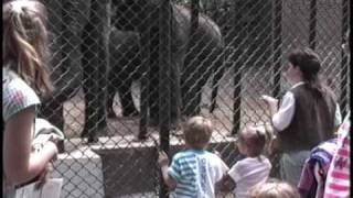 Buffalo Zoo 1989 Part 2 [upl. by Lotson]