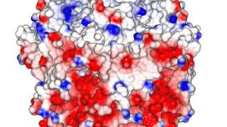 Pentameric Channel Nicotinic Acetylcholine Receptor Homolog with sound [upl. by Saref]