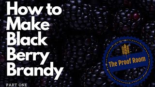 How to make Black berry Brandy [upl. by Dodson862]