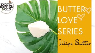 Illipe Butter Benefits Butter Love [upl. by Yhtak805]