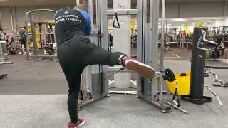 Glute Medius Cable Kickback  Exercise Demo [upl. by Dwane242]