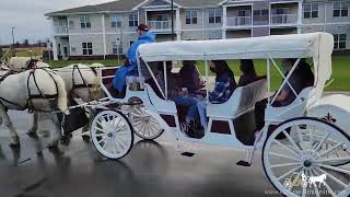 Holiday rides – Horse Drawn Carriage – Stretch Victorian Carriage 9 [upl. by Kirrad92]