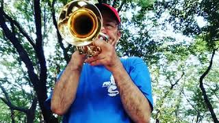 Ironside Quincy Jones Jerry Hey solo cover calicchio trumpetトランペットアドリブソロ [upl. by Nirra982]