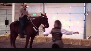 PART 2  Holistic Horse Affair 2010  Wendy Murdoch works with Bobwmv [upl. by True]