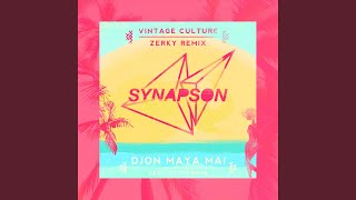 Djon maya maï feat Victor Démé Vintage Culture and Zerky Remix [upl. by Fiann]