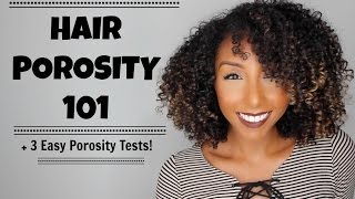 Hair Porosity 101 amp 3 Easy Hair Porosity Tests  BiancaReneeToday [upl. by Oelgnaed267]