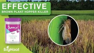 Effective Brown Plant Hopper Killer  BigHaat [upl. by Anirbus]