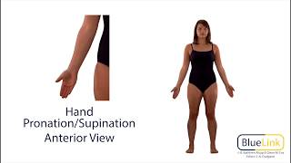 Hand Pronation Supination [upl. by Linneman]