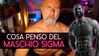 Cosa penso del MASCHIO SIGMA [upl. by Fulvia]